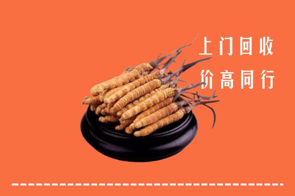 高价求购：海南省陵水县回收散虫草