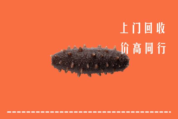 高价求购：海南省陵水县回收海参